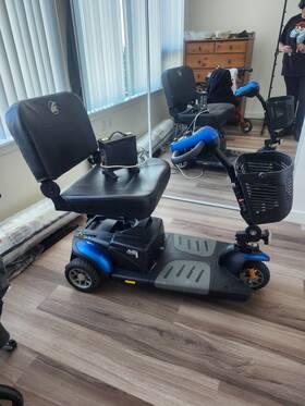 Gb117z Golden Technologies Buzz Around Scooter Model # Xlshd