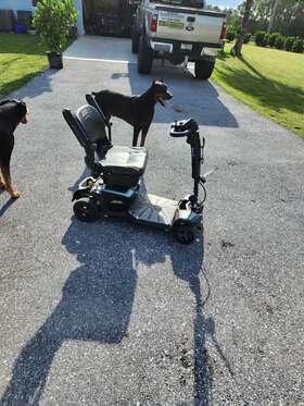 Pride Mobility Products Corp. Jazzyzts Zero Turn 8- Jazzy Zts 4-wheel Electric Battery Power Scooter
