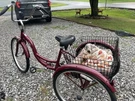 Schwinn S4002 Meridian Adult Tricycle - Black Cherry. Fixed Price $245.00.