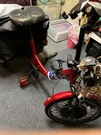 EW-29 3-WHEELED Electric Trike. Fixed Price $2273.00.