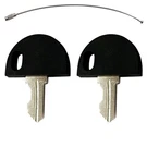 Replacement Ignition Keys 2 Pcs Pride Mobility Scooter Gogo Victory Revo New Usa. Fixed Price $11.67.