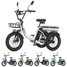 Narrak Fat Tire Folding Electric Trike Peak 700W 468WH Removable Battery. Fixed Price $620.00.