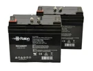 Raion 12V 35AH Golden Technology Companion GC240 Battery 2PK. Fixed Price $149.99.