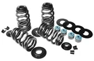 Feuling Econo Beehive Valve Springs #1120 Harley Davidson. Fixed Price $229.95.