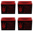 Neptune Power 12V 22AH It Gel Battery Replacement E-wheels EW-36-4 Pack. Fixed Price $209.99.