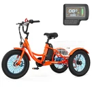Naizea Electric Tricycle With 24V 10.4AH Battery 250W Motor 3 Wheels 16 In Bikes. Fixed Price $599.99.