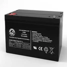 Golden Technologies Patriot 4-WHEEL GR575 12V 75AH Replacement Battery. Fixed Price $225.99.