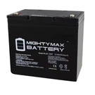 12-VOLT 55AH Internal Thread Battery Replacement For Quickie P100 22NF. Fixed Price $134.39.