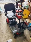 Buzz Around Ex Golden Scotter. Fixed Price $800.00.